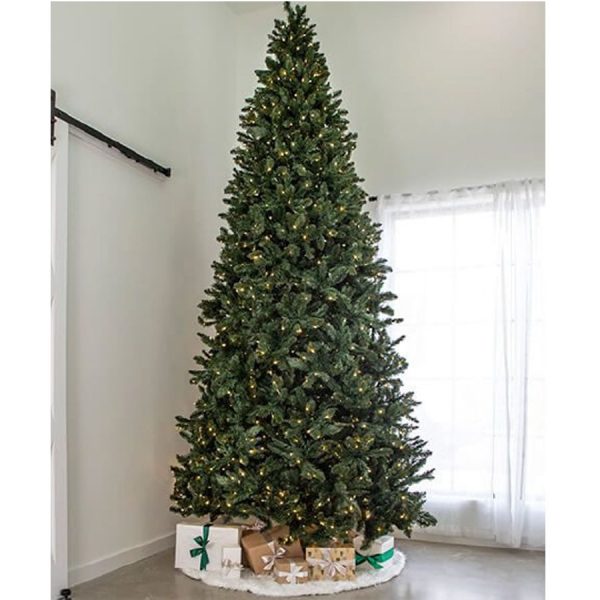 12’ Indoor LED Oregon Grand Fir