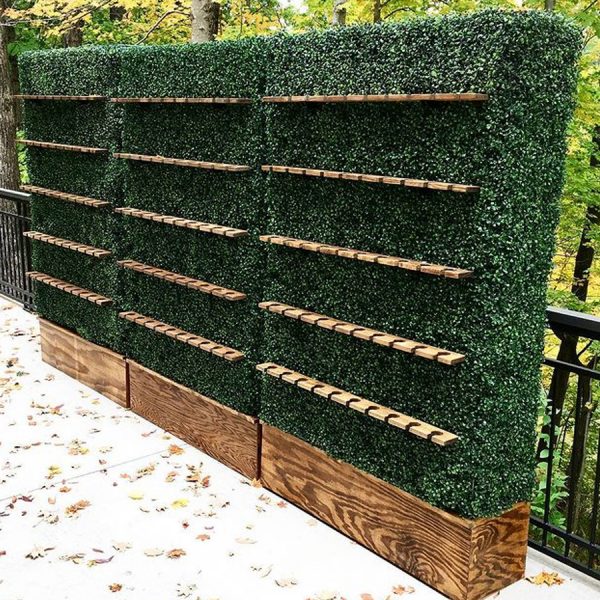 Boxwood Champagne Wall