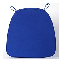 Blue Chiavari Chair Cushion